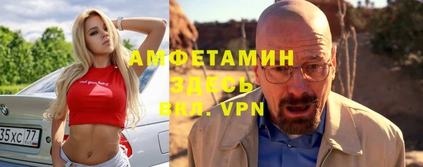 дмт Богданович