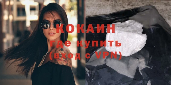 дмт Богданович