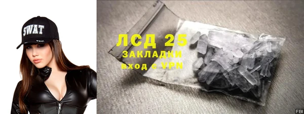 дмт Богданович