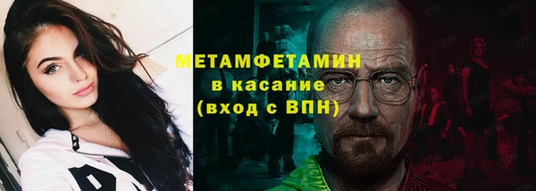 дмт Богданович