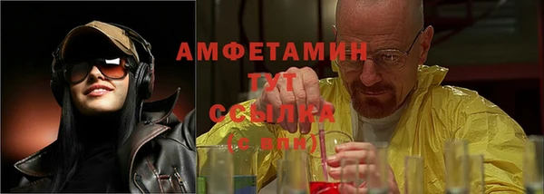 дмт Богданович