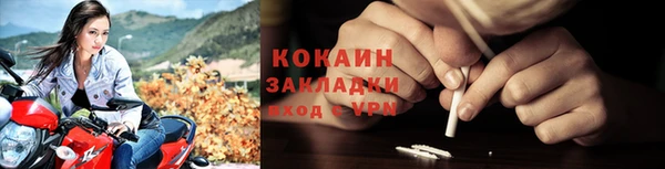 стаф Богородицк