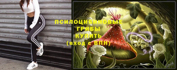 стаф Бронницы