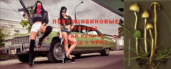 стаф Богородицк