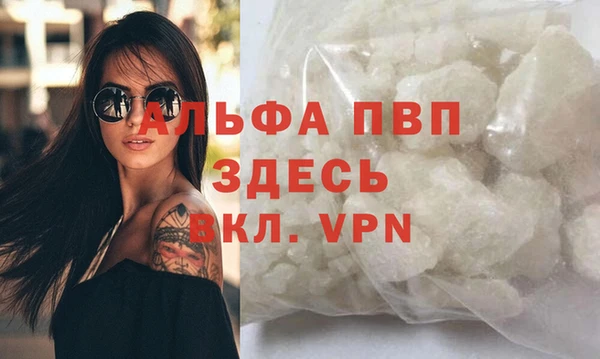 дмт Богданович
